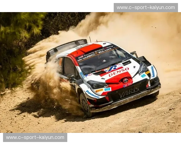 WRC赛后复盘：从数据到策略的全景解读